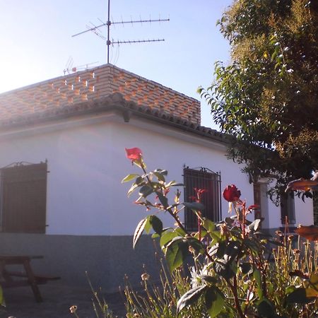Casa Los Olivos Grávalos Exteriör bild